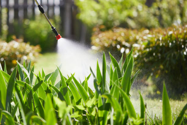 24/7 Emergency Mosquito Control experts in Watsonville, CA