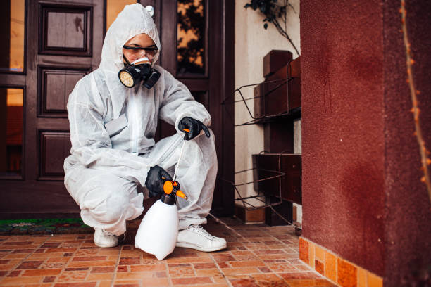 Reliable Mosquito Control contractor in Watsonville, CA by Show Me Pest Control
